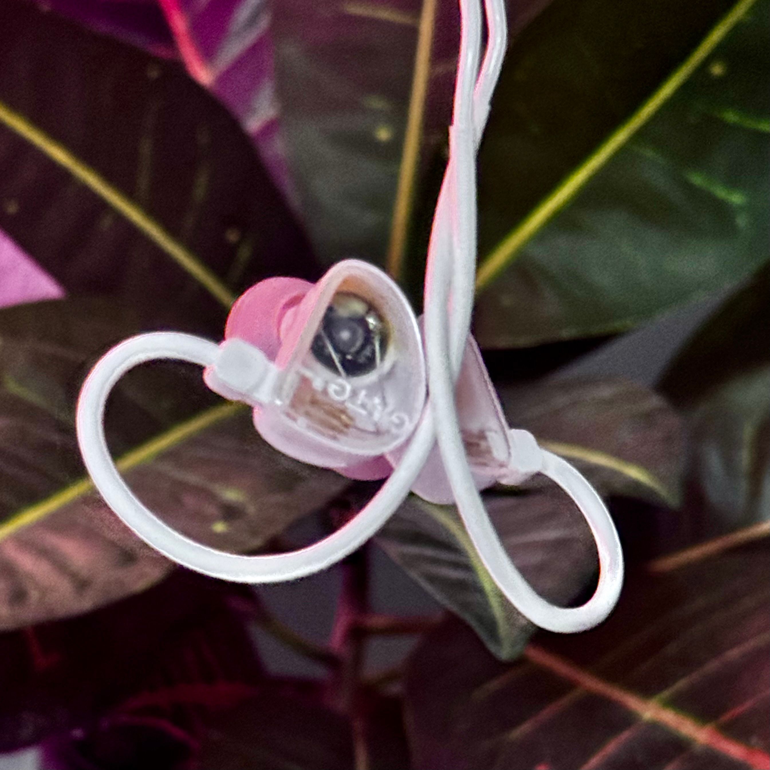 IEM B